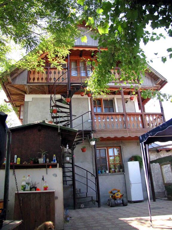 Casa Oana Hotel Sulina Luaran gambar