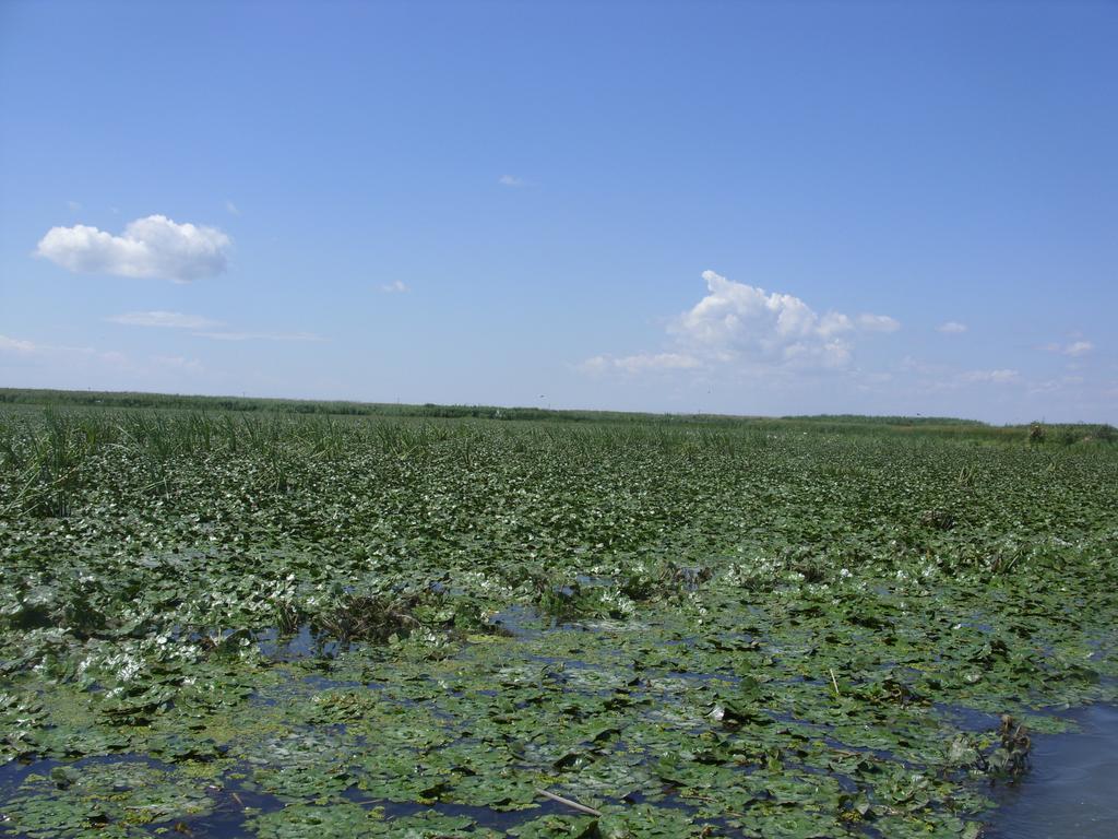 Casa Oana Hotel Sulina Luaran gambar